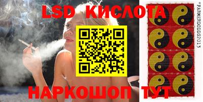 гидропоника Тверь