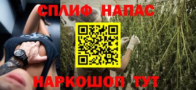 гидропоника Тверь